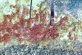 N 066B